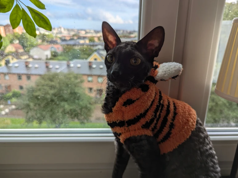Den lilla tigern!